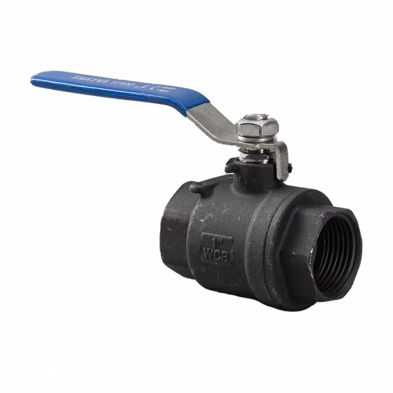 Carbon Steel Wire Buckle Bhora Valve