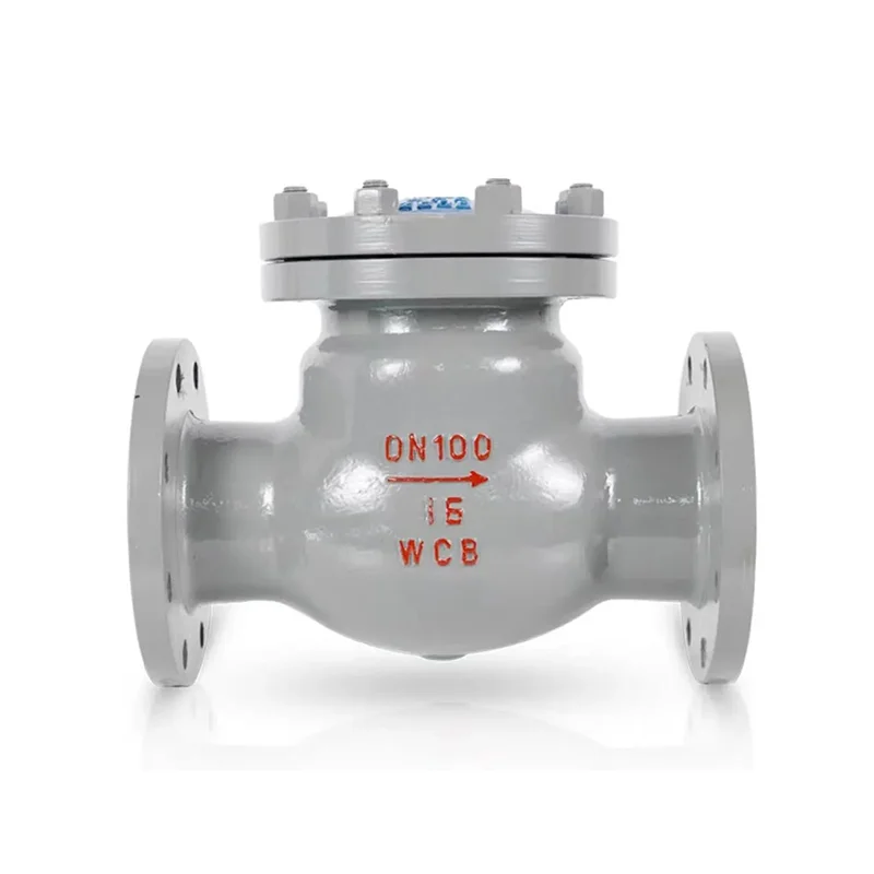Kanda Simbi Swing Flange Ongorora Valve